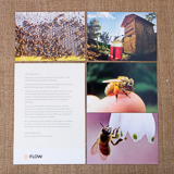 Почтовые открытки для спонсоров Flow Hive