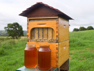 Новое в пчеловодстве – мед сам вытекает из ульев