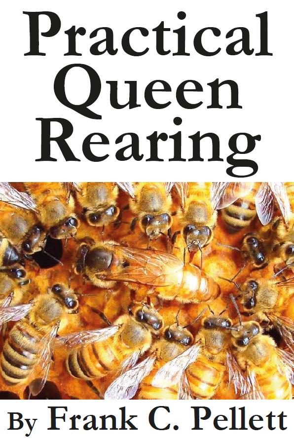 Практика разведения пчеломаток