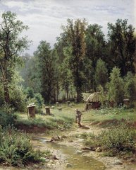 Apiary in the forest