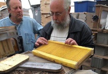 Michael Bush demonstrates Flow Frame