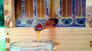 Honey draining